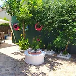 Lucy's House *