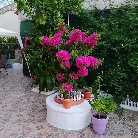 Lejlighed Lucy's House Limenas (Thasos)
