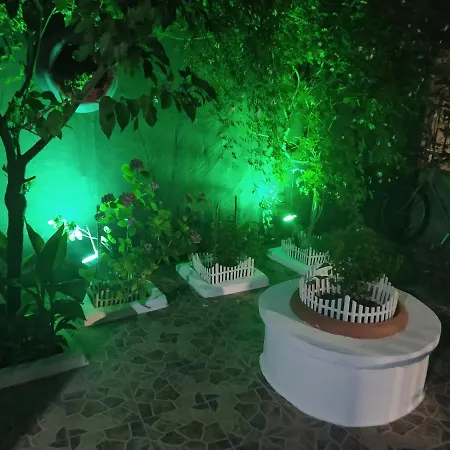 Lucy's House