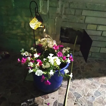 شقة Lucy's House لايميناس