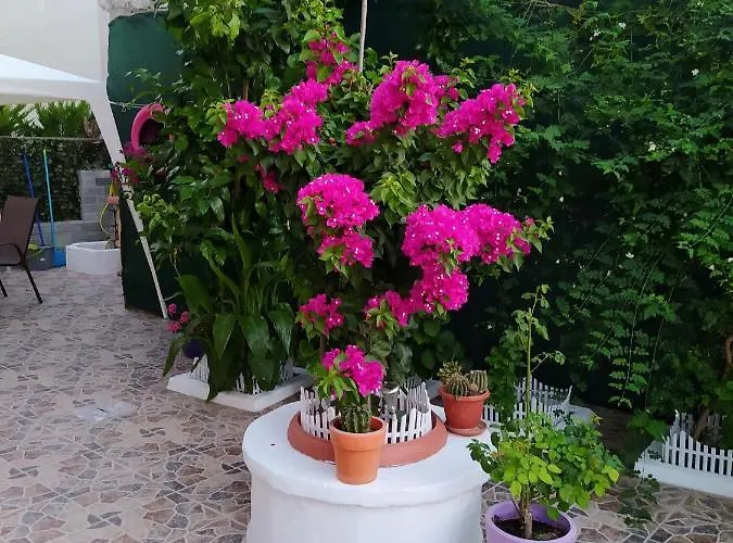 公寓 Lucy's House 萨索斯