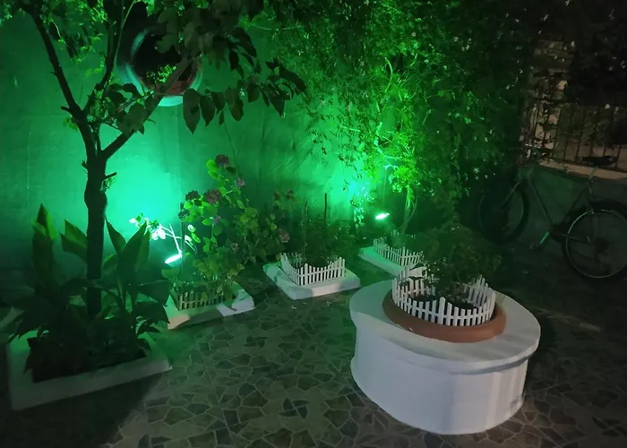 Lucy's House