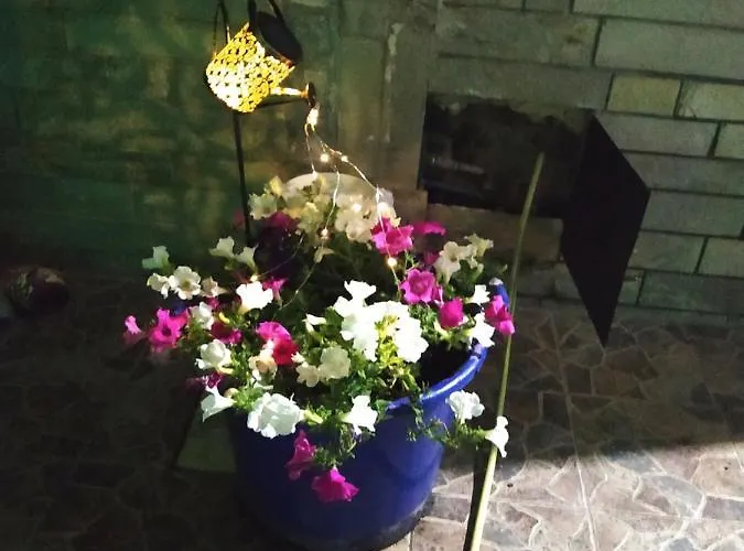 公寓 Lucy's House 萨索斯